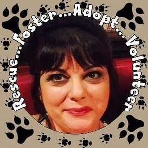 Meet your Posher, Dina